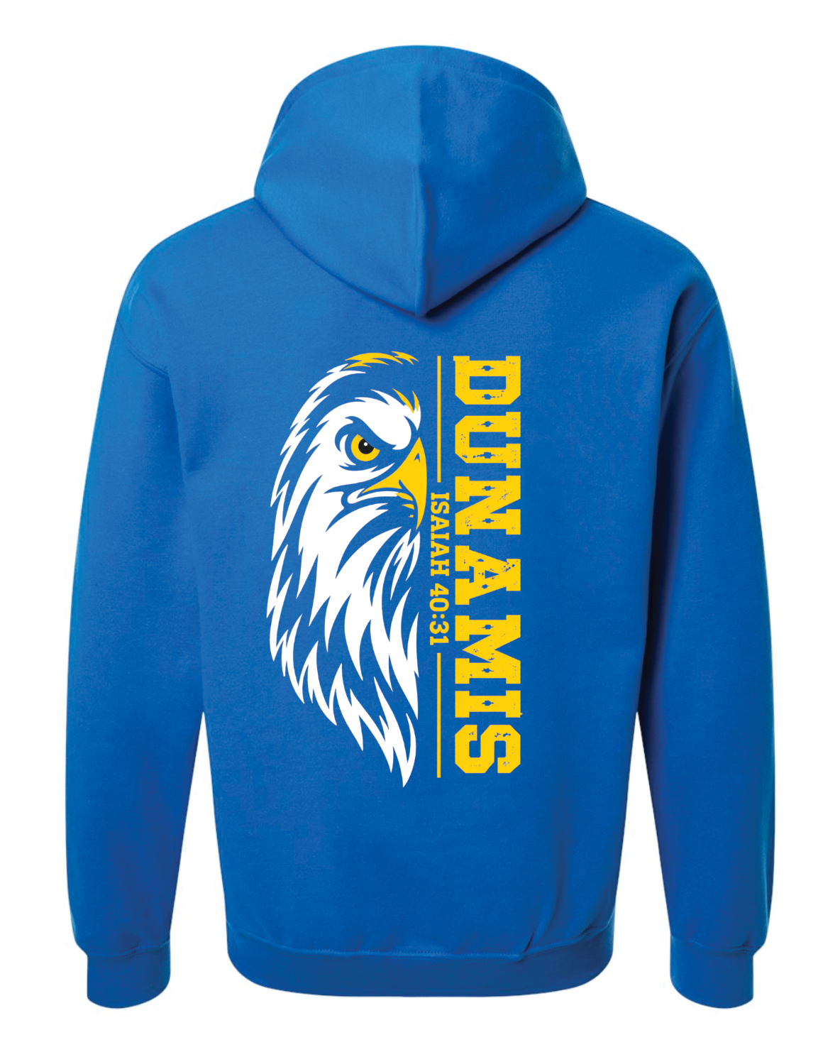 CCS House Hoodies