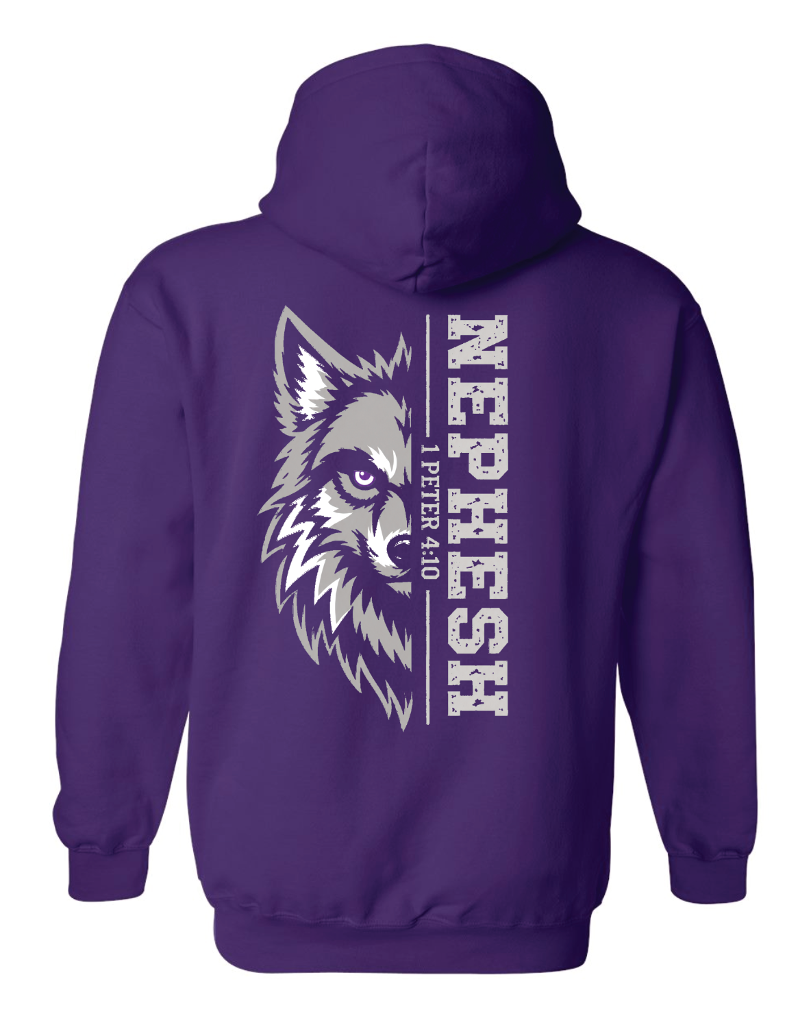 CCS House Hoodies
