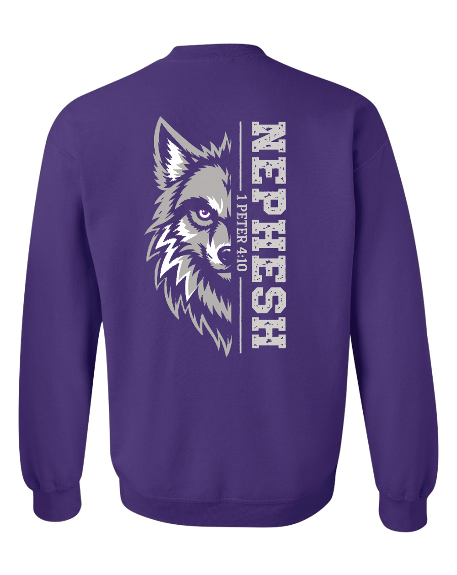CCS House Crewneck Sweatshirts
