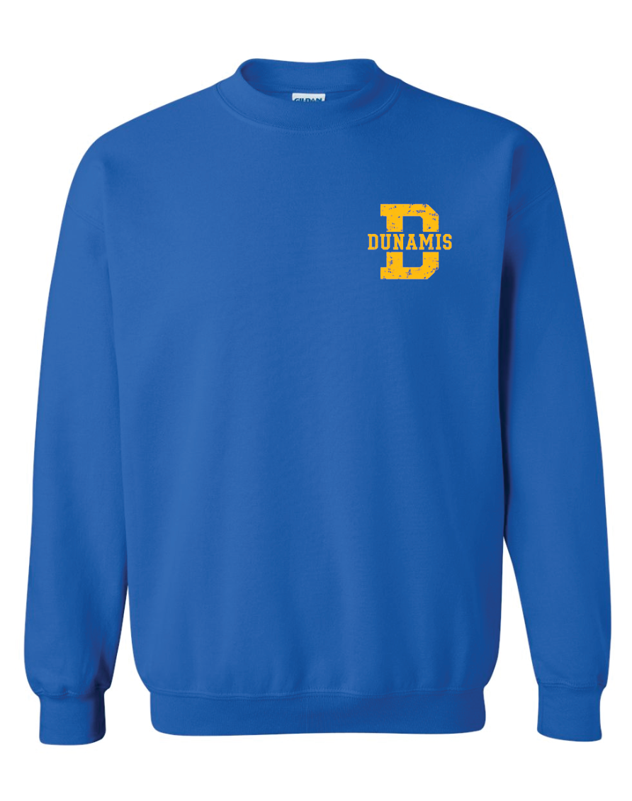 CCS House Crewneck Sweatshirts