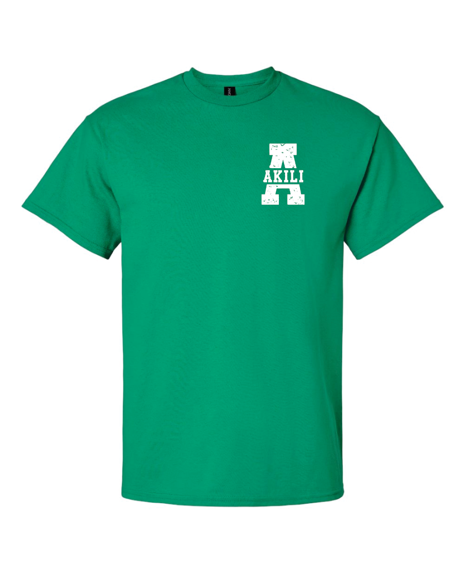 CCS House T-Shirts