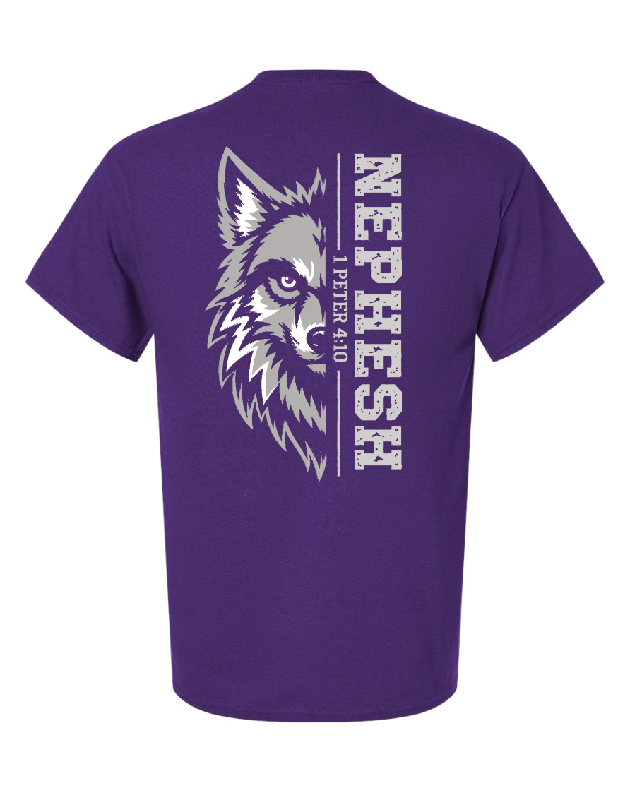 CCS House T-Shirts