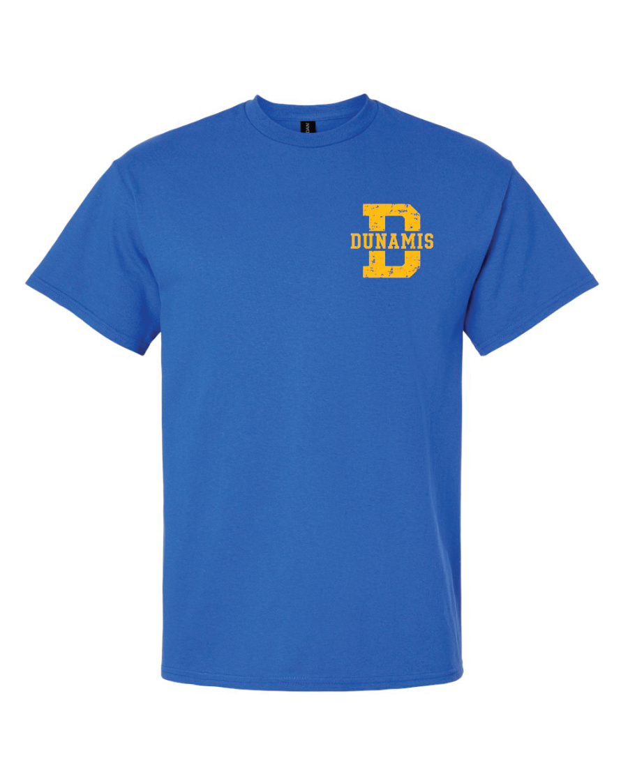 CCS House T-Shirts