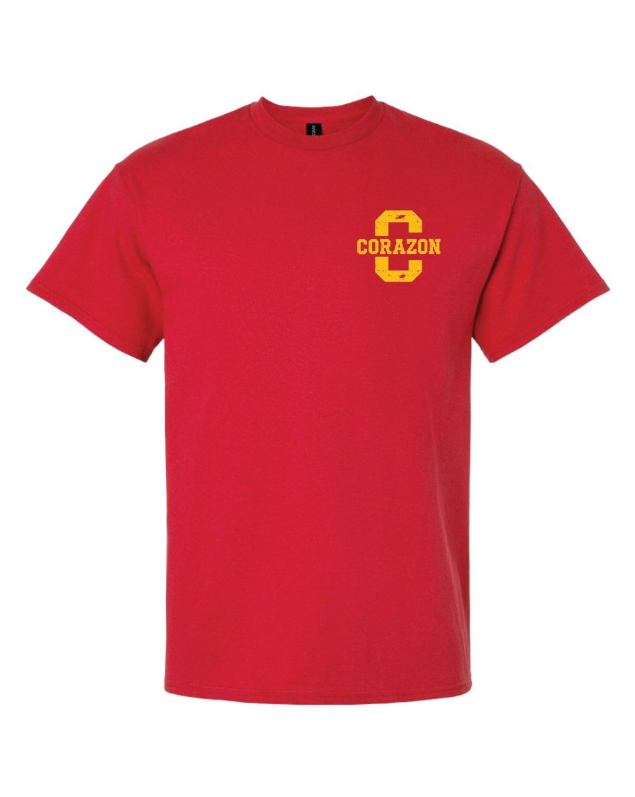 CCS House T-Shirts