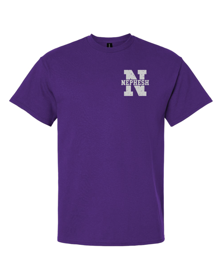 CCS House T-Shirts